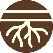 Chá LungShield main image